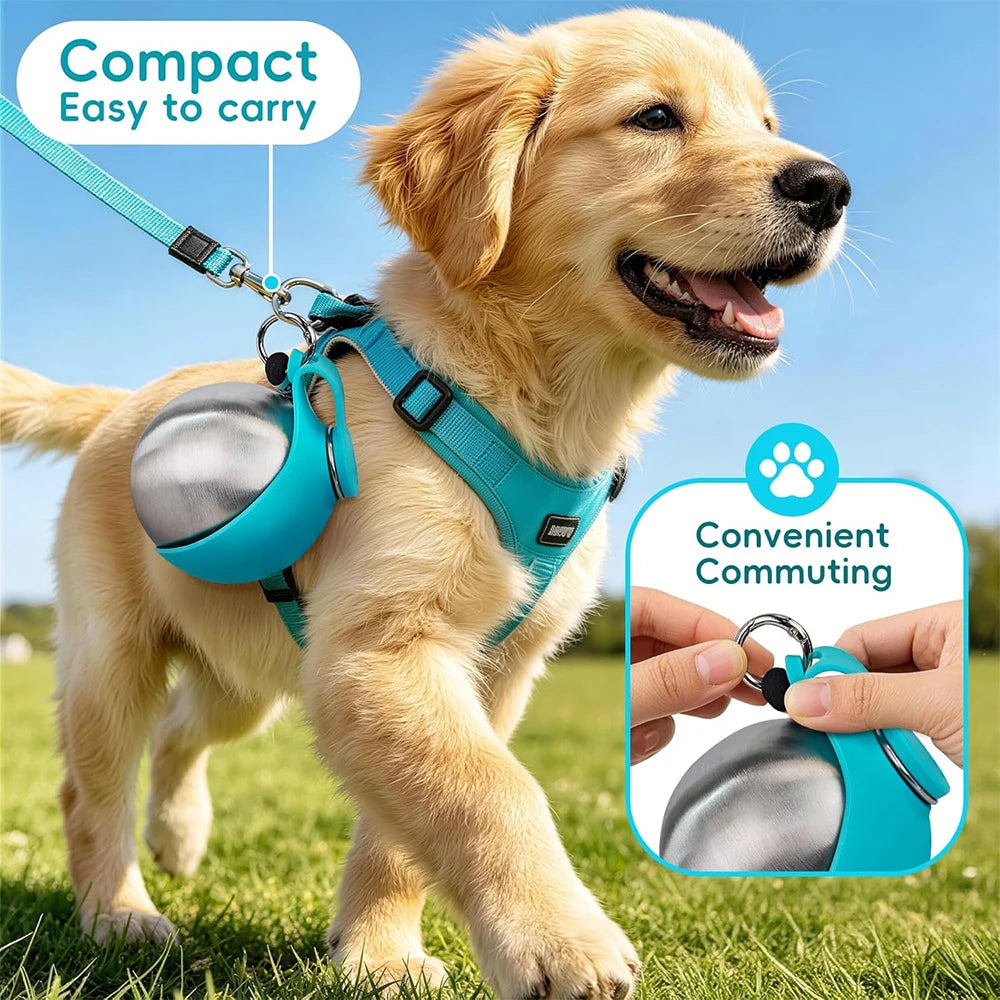 Dog wearing a blue harness with a bell, standing on grass with a clear sky.